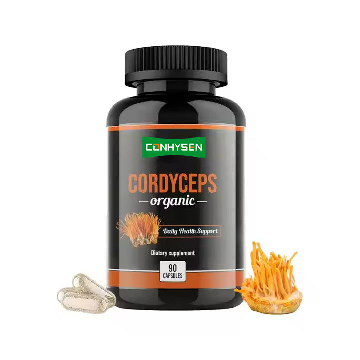 OEM ODM Organische Cordyceps capsules bevorderen hersenfunctie kruidensupplement capsules
