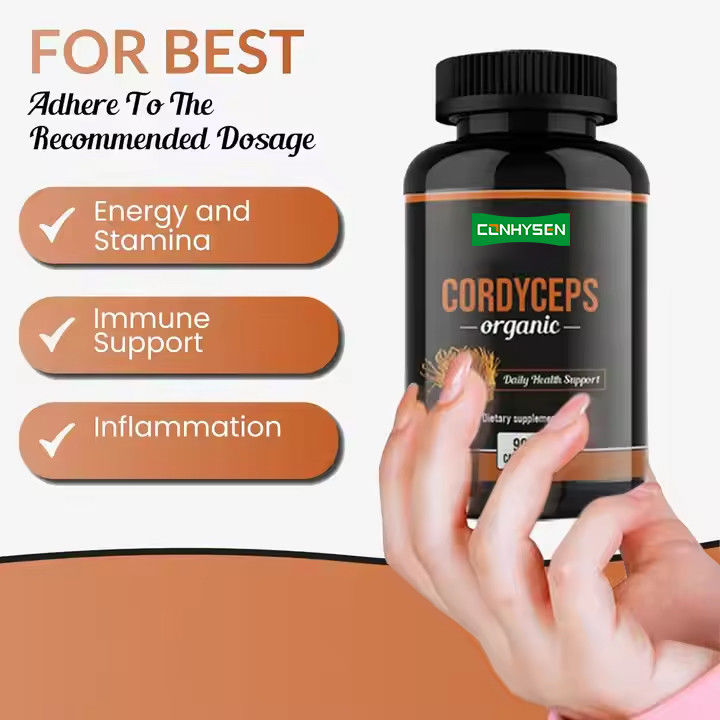 OEM ODM Organische Cordyceps capsules bevorderen hersenfunctie kruidensupplement capsules