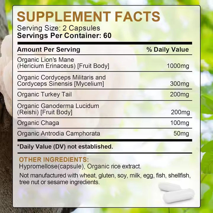 OEM Biologische leeuwenmange capsules met kalkoen staart supplement ondersteuning geheugen Gezondheid van de hersenen