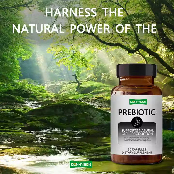 Prebiotische en probiotische capsules mengsel chicorée inulinesupplement gezond gewicht behouden