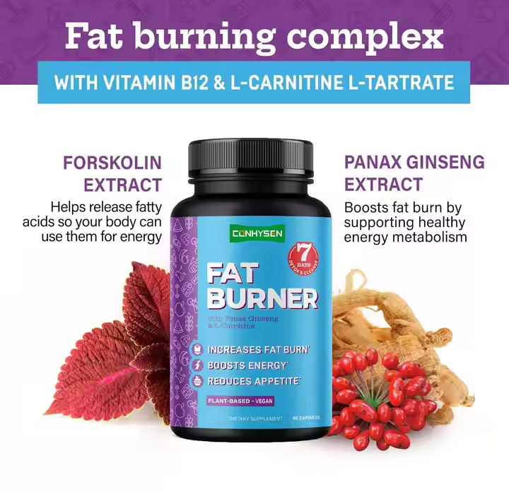 OEM logo vetverbranderscapsules met vitamine B12 L-carnitine L-tartraat vermindert eetlust