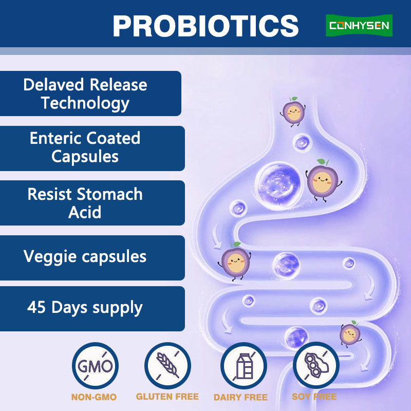 Fabrieksaanbod 5-in-1 prebiotische capsules verbeteren spijsvertering gezondheid Premium probiotica complex
