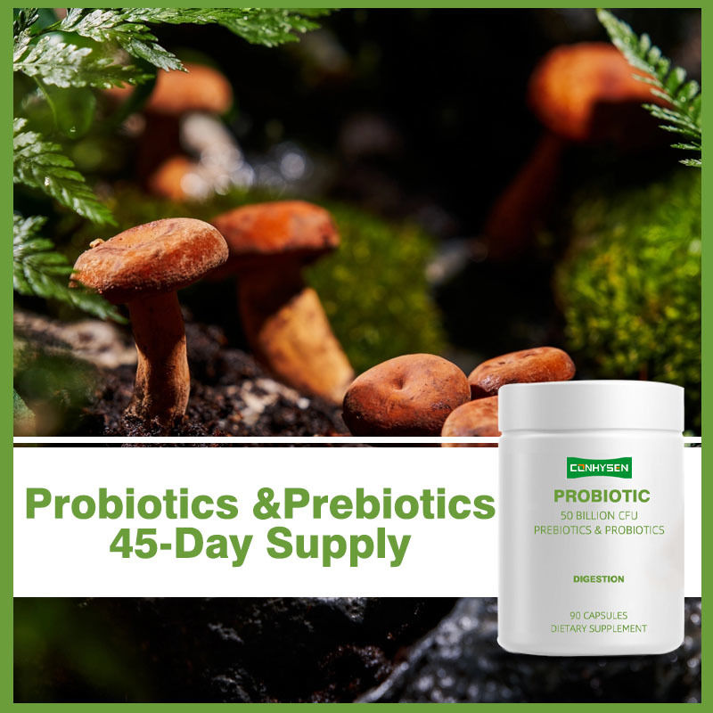 Probiotica capsules ondersteunen betere spijsvertering met gefermenteerde organische botanische mengsel