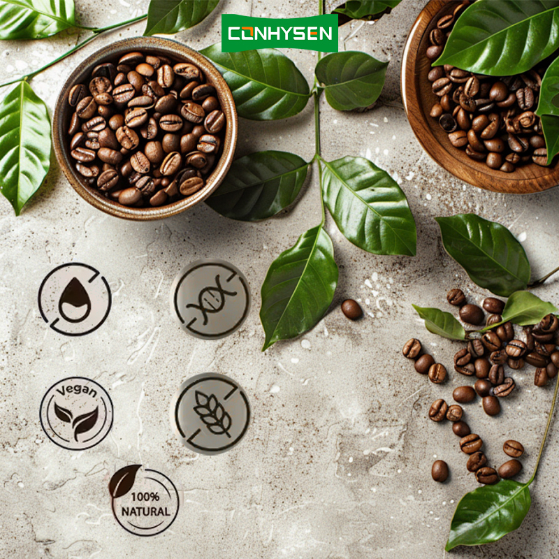 Lagere prijs Verfrissingsdrank Verhoogt energie Champignon Koffie met Cordyceps Reishi Glutenvrij