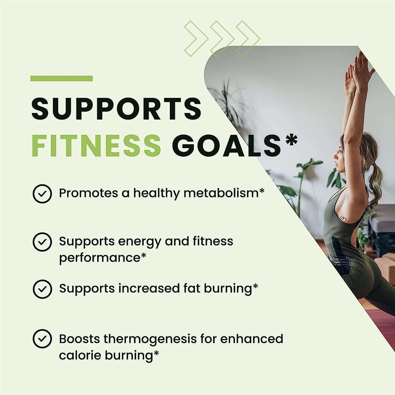 OEM ODM vetverbranders, groene thee pillen voor vrouwen en mannen platte buik capsules