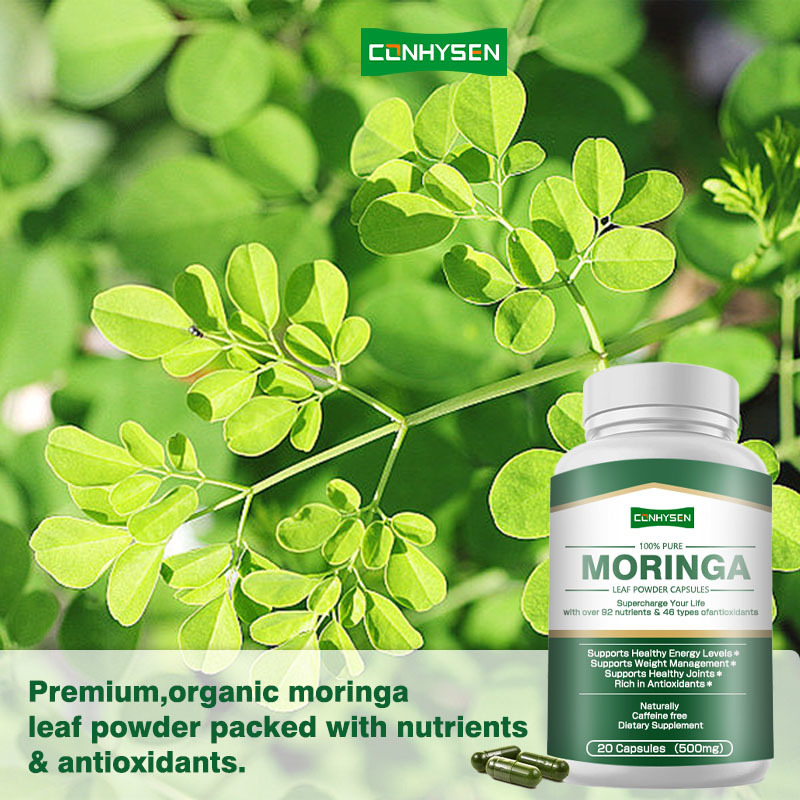 Aangepaste Label Moringa Capsules Ondersteunt Gezonde Prostaat met Bladpoeder Meer dan 92 Voedingsstoffen