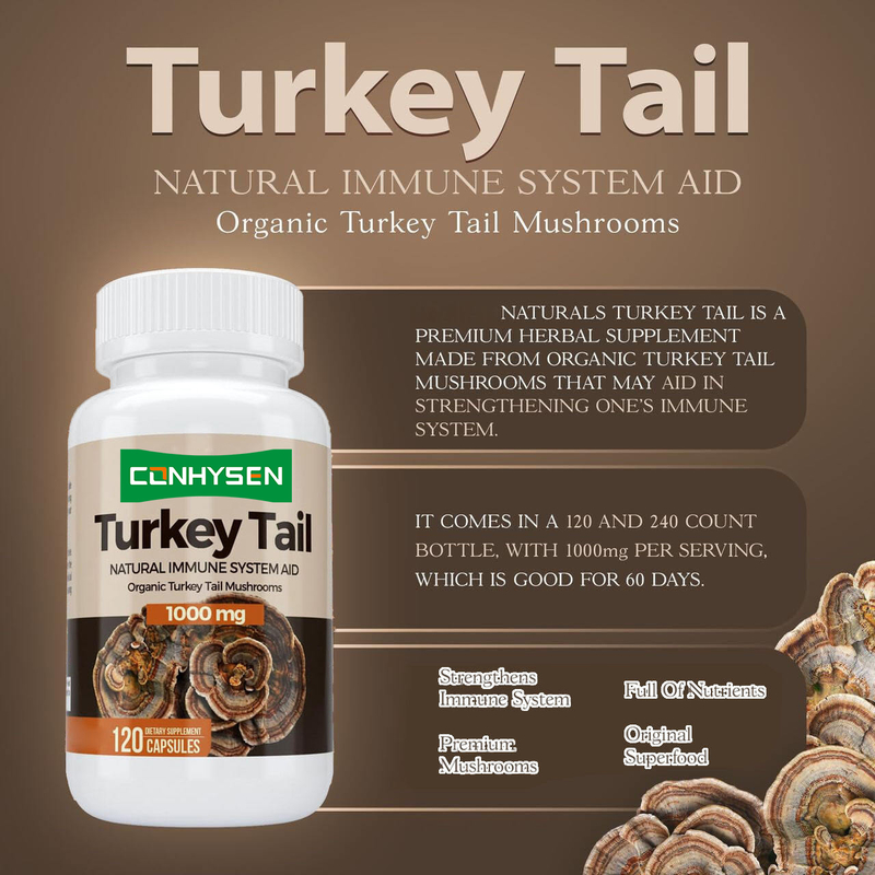 Premium Custom Turkey Tail Capsules Boost de Gezondheid van de Hersenen en het Geheugen Natuurlijke Ondersteuning van het Immuunsysteem