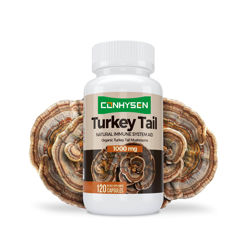 Premium Custom Turkey Tail Capsules Boost de Gezondheid van de Hersenen en het Geheugen Natuurlijke Ondersteuning van het Immuunsysteem