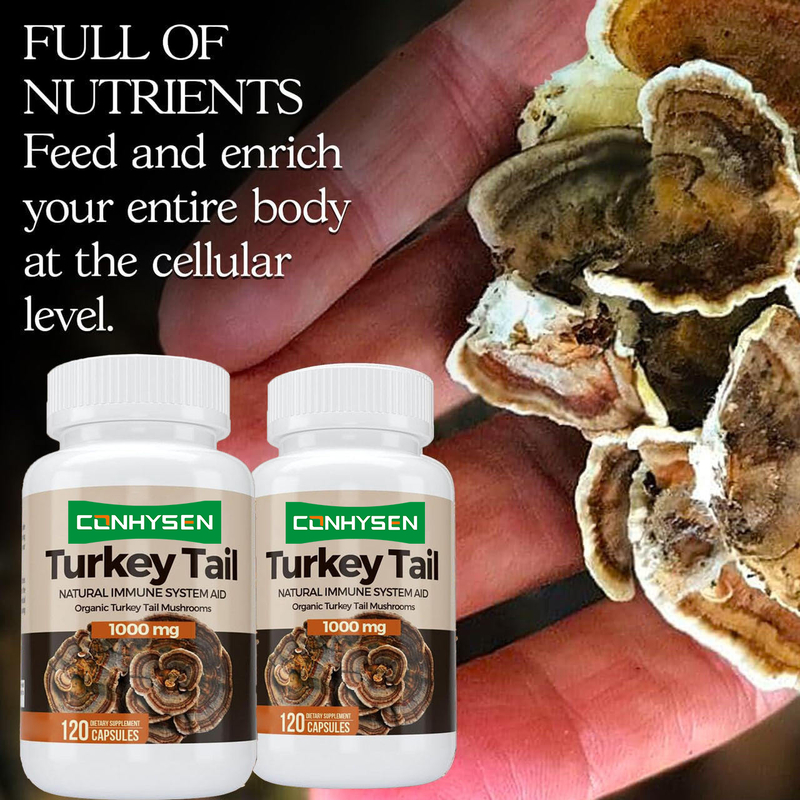 Premium Custom Turkey Tail Capsules Boost de Gezondheid van de Hersenen en het Geheugen Natuurlijke Ondersteuning van het Immuunsysteem