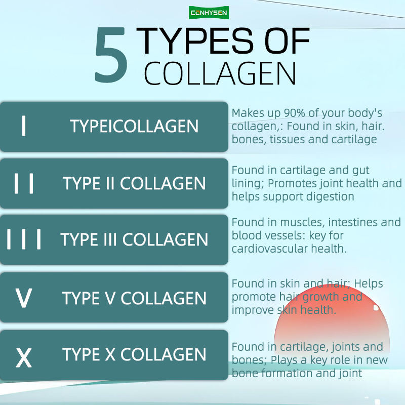Fabriekslevering Multi Collageen Complex Capsules Voedingssupplement voor Versterking van Haar & Nagels