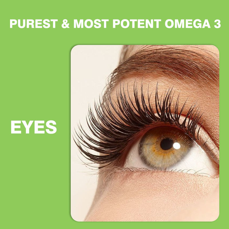 Best Verkopende Omega 3-6-9 Gummies voor Kinderen en Volwassenen Vitaminen Supplement voor Hersenen en Hart DHA Supplementen voor Tieners