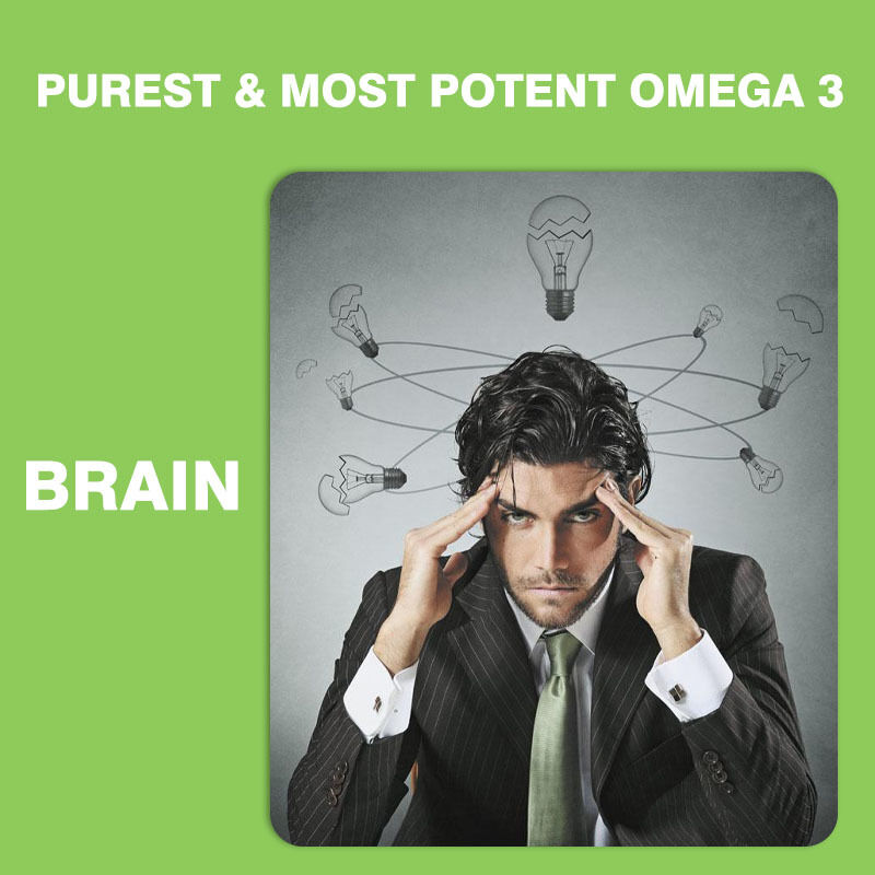 Best Verkopende Omega 3-6-9 Gummies voor Kinderen en Volwassenen Vitaminen Supplement voor Hersenen en Hart DHA Supplementen voor Tieners