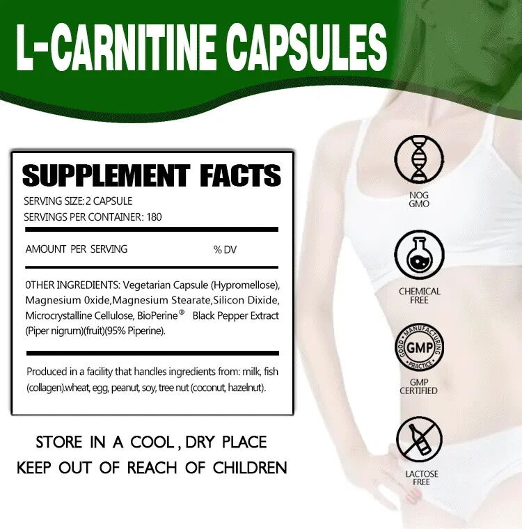 Privélabel Voedingssupplementen L-carnitine Fumarate Lotusblad Afvallen L-carnitine capsules Voedingsvezels