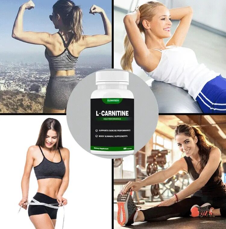 Privélabel Voedingssupplementen L-carnitine Fumarate Lotusblad Afvallen L-carnitine capsules Voedingsvezels