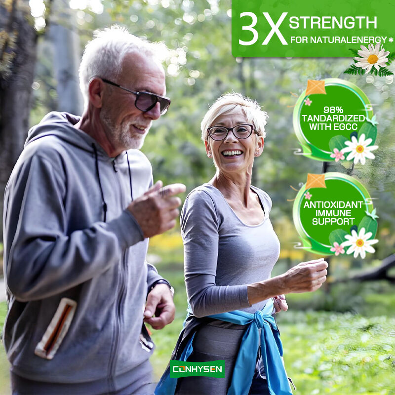 Privélabel Groene thee capsules Rijk aan EGCG Supplement Antioxidant Immuunondersteuning Gewichtsverlies Afslanking Vetverbrander