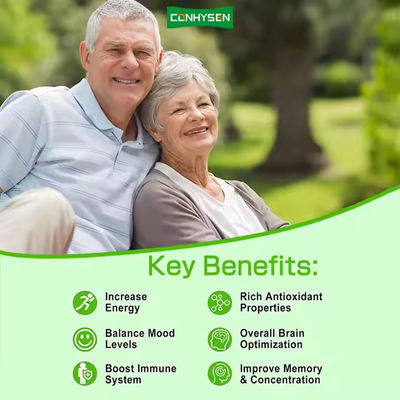 Ashwagandha Ginkgo Biloba Gummies Ondersteunen Algemene Hersenoptimalisatie Kruidensupplement