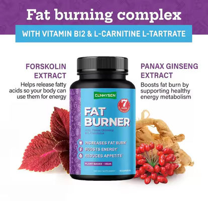 OEM logo vetverbranderscapsules met vitamine B12 L-carnitine L-tartraat vermindert eetlust